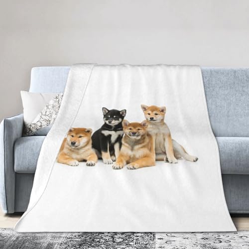 uPbg Č    tl \t@ѕz |zc ѕz  tluPbg I[V[Y v[g 76X102cm