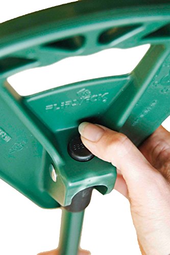 Classic Canes Flipstick - Bastone da passeggio