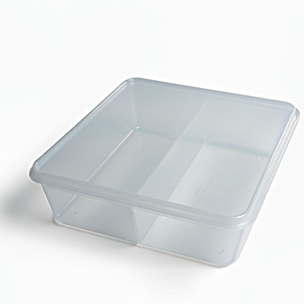Multipurpose Plastic Storage Box Organizer with Lid | 2 Grids Partition | Transparent Box (28cm x 17cm x 7.5cm) for Jewelry, Medicine, Stationery & Daily Usage Items – Lightweight & Easy to Carry-picture-21