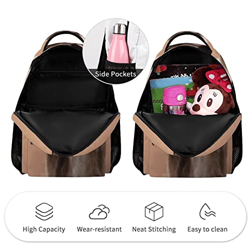 Kids Backpack for School, Funny Siamese Cat Pattern Students Bookbags School Bags Girls Boys3