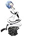 La Bambola Proporzionale Ayanami Rei, De La Banda Disegnata "NEON GENESIS EVANGELI" Misura 8,6 Pollici Di Alto E E' Realizzato In PVC. Le Cornici Di Anniversary E Vacanze Sont Memorizzati A La Mai
