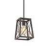 FEMILA Farmhouse Pendant Light, 1-Light Metal Wire Cage Hanging Lantern, Oil Rubbed Bronze Finish, 4FY16-M1L ORB