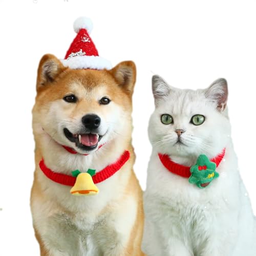 Aimondow ybg NX}X nhCh lN^CALƌ 2 NX}X XJ[t  lN^C ߉\ ybg ^I 悾ꂩ ~ jbg L lN^C hbVO NX}X p[eB[ q qL 킢 lN^C