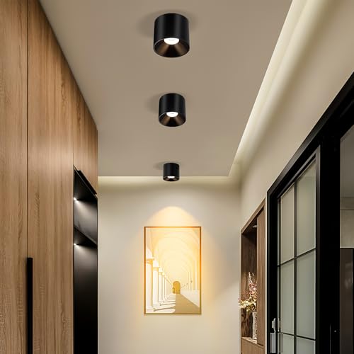 FNOESTY Ceiling Light Fixture, Flush Mount Dimmable Ceiling Lights, Modern LED Cylinder Ceiling Light Spot Lights Indoor for Living Room Hallway Entryway Kitchen, 3000K, Black, 3 Pack by FNOESTY - Used condition - US$53.67