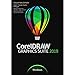 CorelDraw Graphics Suite 2019 Education Edition for Windows