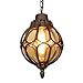 Produktbild Vintage Außenlampe Pendelleuchte Aussen Innen Bronze Aluminium und Glasschirm Laterne Pendellampe Höhenverstellbar Industrie Retro-Lampe Kugel-Design Deckenleuchte,22.5 * 38.5CM IP44