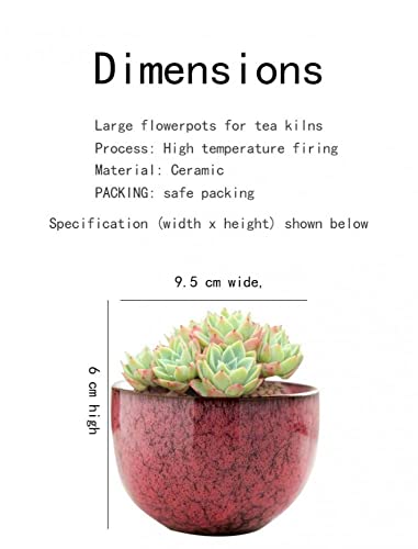 Gelory Succulent Pots - Image 4
