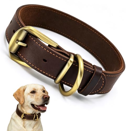 Collier en Cuir pour Grand Chien XL – Extra Large & Résistant – Idéal pour Labrador, Golden Retriever & Berger Allemand – Cuir Souple avec Boucle en...
