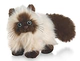 Webkinz Himalayan Cat with Trading Cards