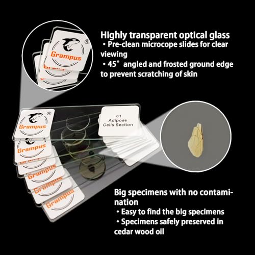 Image of 30 Prepared Microscope Slides with Specimens for Kids Students - Insects, for Biological Science Lab, Children's Science Education, Homeschooling Use