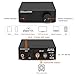 Nobsound Mini Mono Subwoofer Amplifier: 100W HiFi Amp with TPA3116 & Low-Pass Filter for Home Theater, Bass Shaker, Gaming, Subwoofer, Speaker​ (NS-21G)