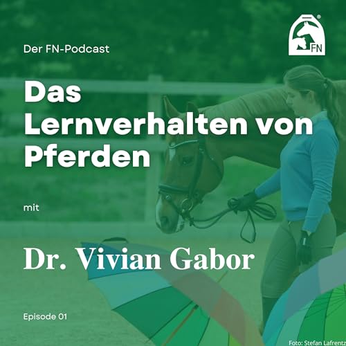 Das Lernverhalten von Pferden
