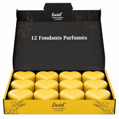 Fondant parfumé pour bruleur (Pack de 12) - Cire parfumée pour bruleur - Parfum Vanille - Idéal pour bougie chauffe plat, brule parfum et bruleur électrique