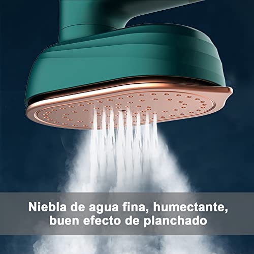 Opiniones y reviews de Plancha de vapor record hj-3000 los más recomendados. 9 Imagen adicional