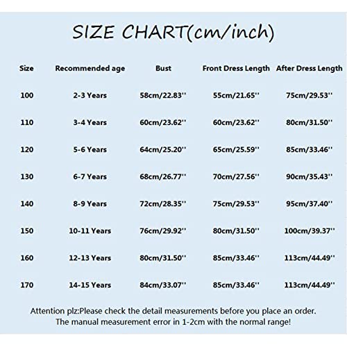 Baby Girl Sequins Bowknot Butterfly Dress Infant Toddler Tutu Flower Girls Wedding Birthday Party Dresses4