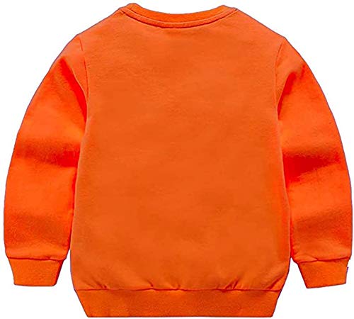 Image of HAXICO Unisex Kids Solid Cotton Thin Pullover Sweatshirt T-Shirt Toddler Baby Crewneck Long Sleeve Tshirts Tops Blouse