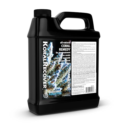 Image of Brightwell Aquatics Koral Recover - Botanical Coral Remedy for SPS, LPS & Soft Corals - Supports Tissue Healing, Disease Recovery & Immune Health - Safe for Reef Aquariums, 2L