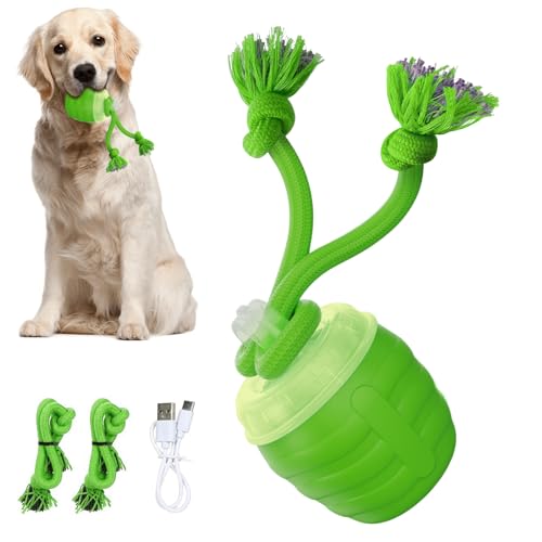 Balle interactive pour chats : l'activité idéale durant vos absences - 2