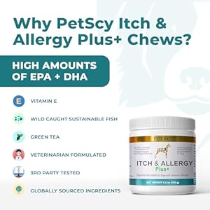 PetScy Itch & Allergy Plus Chews for Dogs | Itchy Skin Treatment with Probiotics, Moringa, Turmeric | Quick Dog Allergy Relief Chews for Dogs of All Ages - Bacon Flavor - 60 Chews PetScy Itch Allergy Plus Chews for Dogs Itchy Skin Treatment with Probiotics Moringa Turmeric Quick Dog Allergy Relief Chews for Dogs of All Ages Bacon Flavor 60 Chews