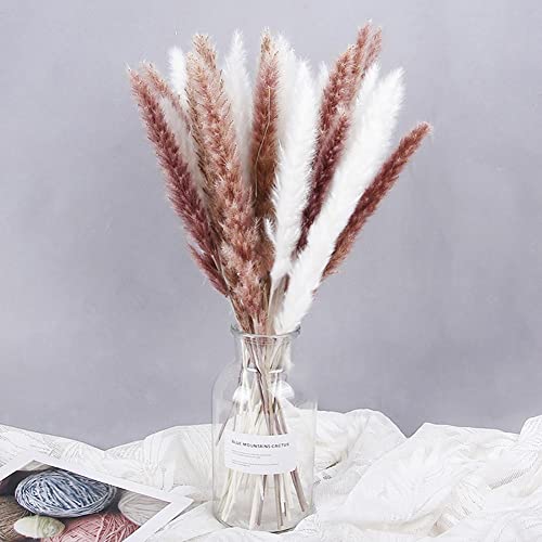 Pampas Grass Large 15Pcs Flores Secas para Decoración miniatura 5