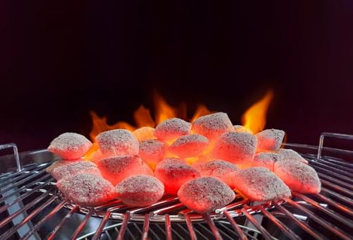 Image of Coconut Shell Barbecue Charcoal Briquettes 5Kg