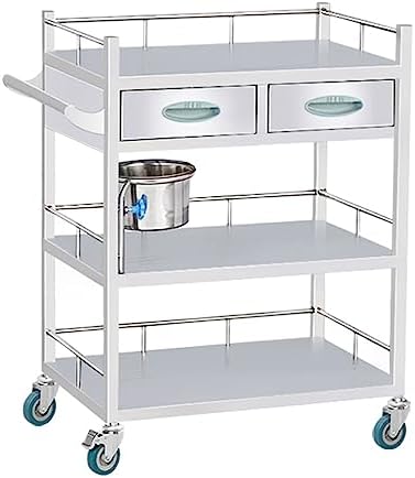 Stainless Steel Medical Trolley, 2-Layer Rolling Cart for Clinic Hospital Laboratory with 150Kg Max Load