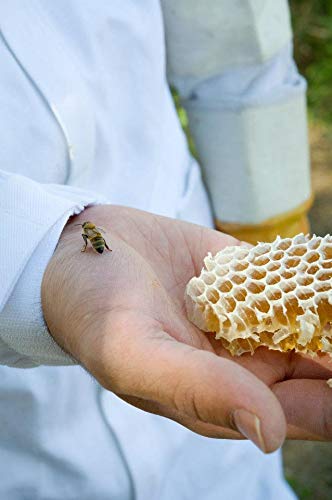 The Honey Jar Raw Clover Honey - Unfiltered And Unpasteurized Honey - Pure Honey Sourced From Family-Owned Farms In The Usa - (3Lb/48Oz Jar) #TOP3