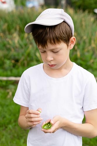 4 Pack Cotton Kids T-Shirts Short Sleeve Summer Crew Neck Basic Tops for Boy & Girl&Toddlers Unisex Children4