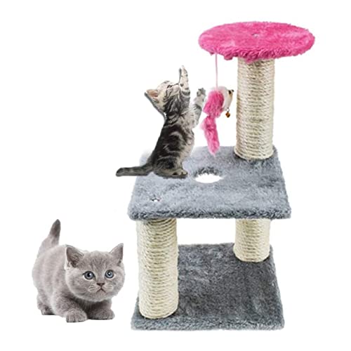 Arbre à chat multiniveau avec griffoir et plateforme de saut pour chat - 6