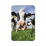 💚Scénario applicable : il est très approprié comme accessoire décoratif pour d'autres endroits magnétiques tels que les réfrigérateurs, les micro-ondes, les machines à laver, les armoires de rangement, les armoires de bureau et d'autres articles ménagers. Il peut également être utilisé pour joindre des notes quotidiennes, des informations, des listes de tâches, des photos, etc.