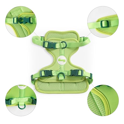 THE LICKER Store HNS1001B Arlo Small Adjustable Soft Padded No Pull Pet Harness with 3 Buckles and 3 Leash Clips, Mojito by THE LICKER STORE - Image 4