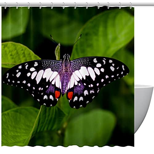 Rideau de douche de qualité supérieure papillon vert 168 x 183