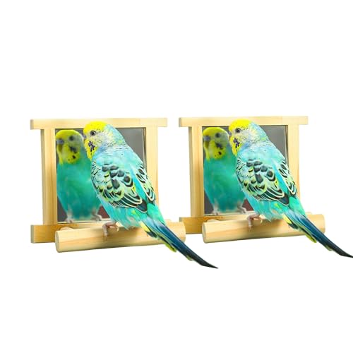 Image of Natural Wood Bird Stand with Mirror, Perch and Swing Toy for Parakeets, Hummingbird, Lovebirds and Cockatoos (2 Pack)