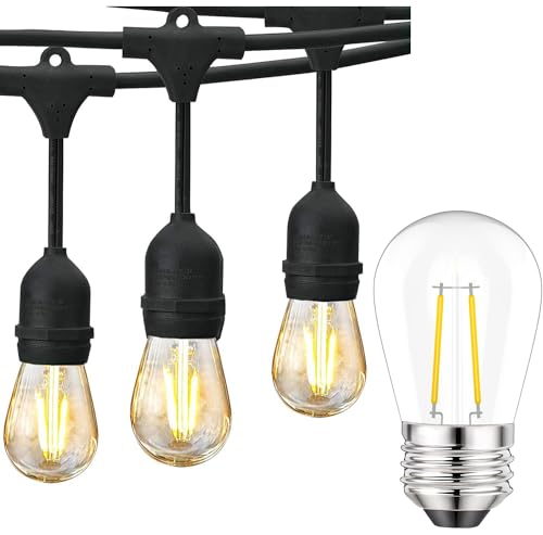 Guirnalda de luces exterior Svater 48FT con 30 bombillas 2W