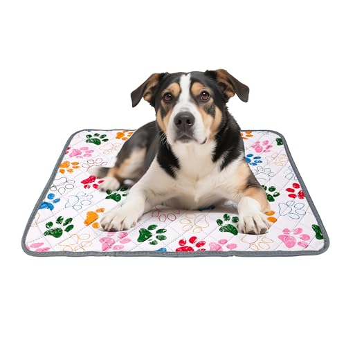 BTSD-home 洗えるペットシーツ 犬用 防水 超吸収 繰り返し使える 45×60cm 2枚組