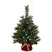 National Tree 24 Inch Majestic Fir Tree with 35 Battery Operated Multicolor LED Lights (MJ3-24BGRLO-B1)