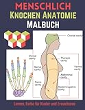 Menschlich Knochen Anatomie Malbuch Für Kinder und Erwachsene: Anatomie-Malbuch des menschlichen Körpers leicht gemacht für Kinder und Erwachsene/ Physiologie-Malbuch für Kinder.