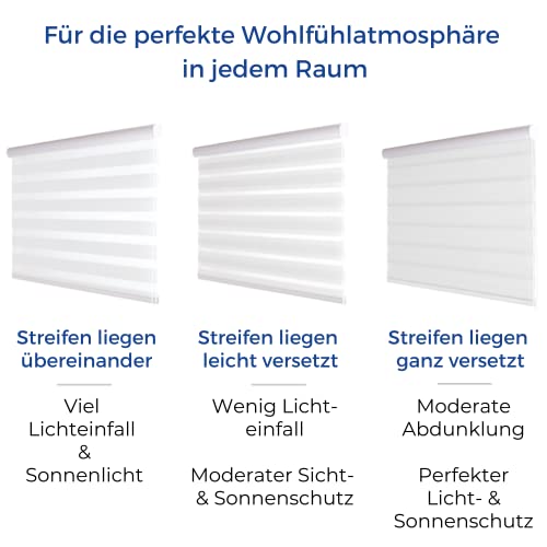 Doppelrollo 180 cm Breit Die 15 besten Produkte im Vergleich