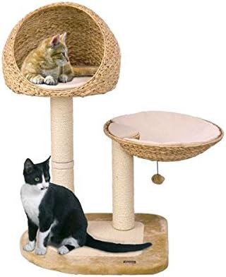 banana leaf cat tree