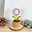 Daisy-purple