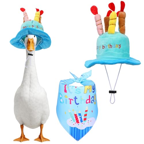 Heclia |[`O[XaߑZbg u[sN |[`O[XRX`[ P[Lnbgto_i Ő̃Aq̑p y̑ ap[eB[ x O h