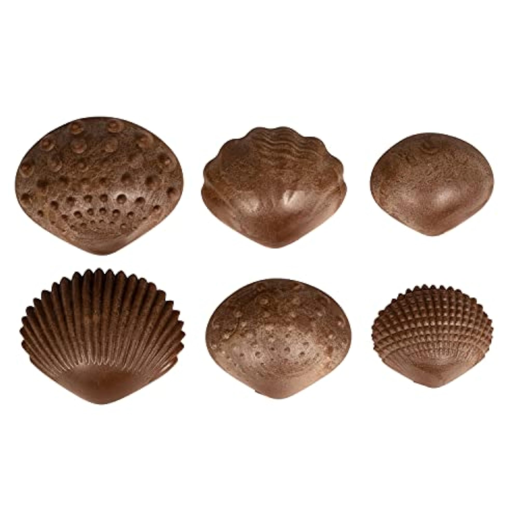 EDX Education ECO Friendly Tactile Sea Shells