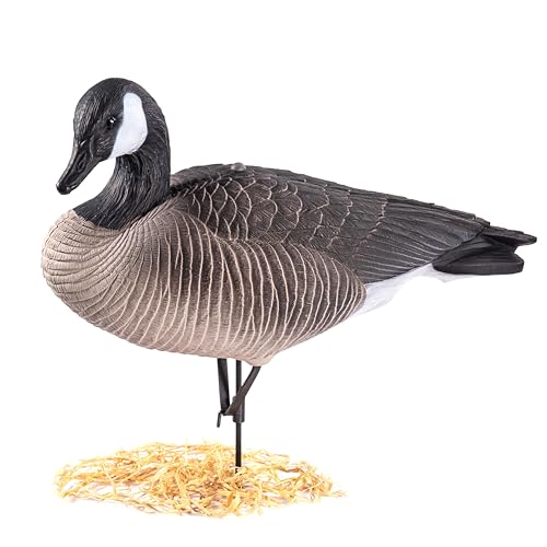 Heerweiyi Realistic Canadian Goose Decoys - Durable and Detailed Hunting Decoy Set with Lifelike Feather Patterns - 6-Pack for Outdoor Sports and Waterfowl Hunting