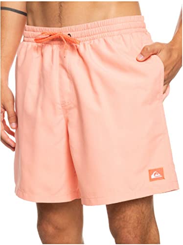 Quiksilver Men's Standard Everyday 17 Volley Swim Trunk Bathing Suit3