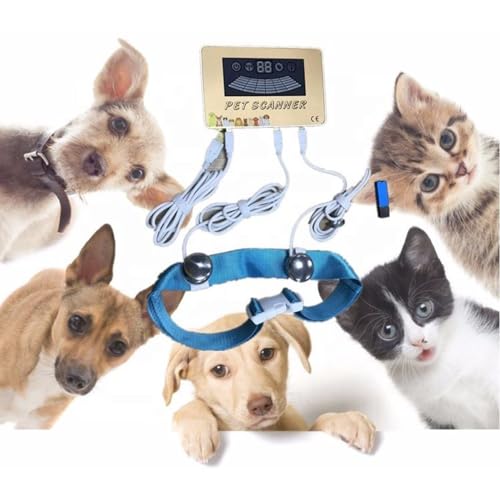 Scanner pour animaux de compagnie à numérisation 3D dynamique et interface multilingue - 4