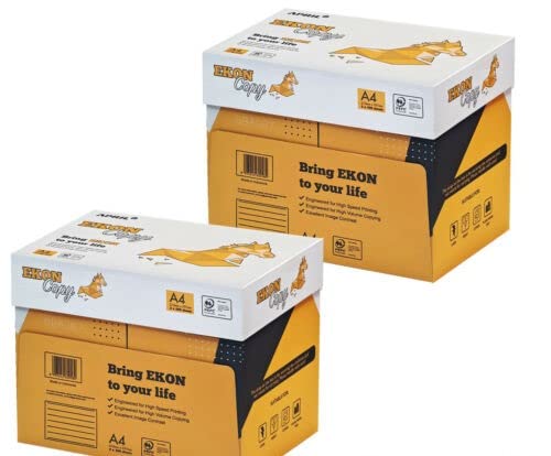 Ekon copy carta A4-21x29,7 cm per ufficio, stampa e fotocopie - Formato A4-80 gr, Confezione da 10 risme da 500 Fogli - APRIL