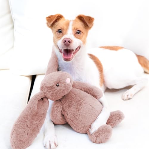 Image of Best Pet Supplies Interactive Squeaky Dog Chew Toy, Ideal Dog Toys for Chewers, Small, Medium & Large Dogs, and Fetch Lovers - Bunny (Mauve), Medium