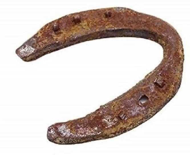 10 Years Old Black Horse Nail (Pack of 1) Iron Yantra (Pack of 1 Original)