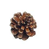 Zur Dekoration von Weihnachtsbäumen, Weihnachtskränzen, Rattan usw., um eine weihnachtliche Atmosphäre zu schaffen.