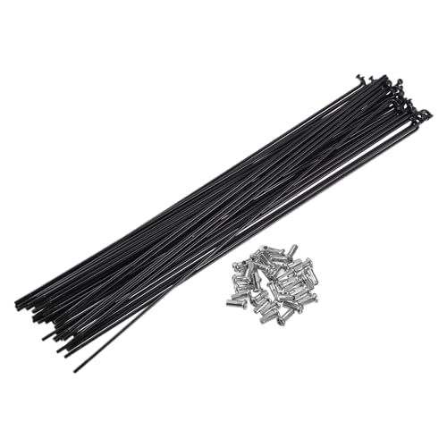 Rayons de vélo 13G 257mm de long X AUTOHAUX pour réparer une roue voilée